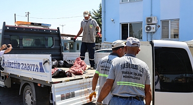 1.5 ton at ve eşek eti yakalatan şahıstan şok savunma