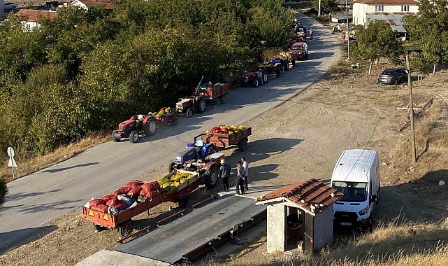 Taze ceviz toptan 25 liraya satılıyor