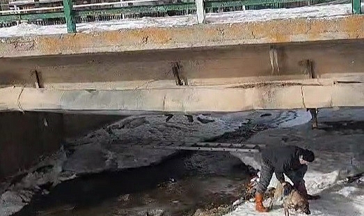 Yürekleri ısıtan köpek kurtarma operasyonu