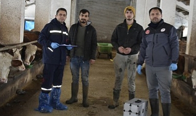 2024’te 177 bin 195 aşı yapıldı