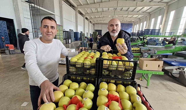 Elma fiyatını maliyetler yükseltiyor