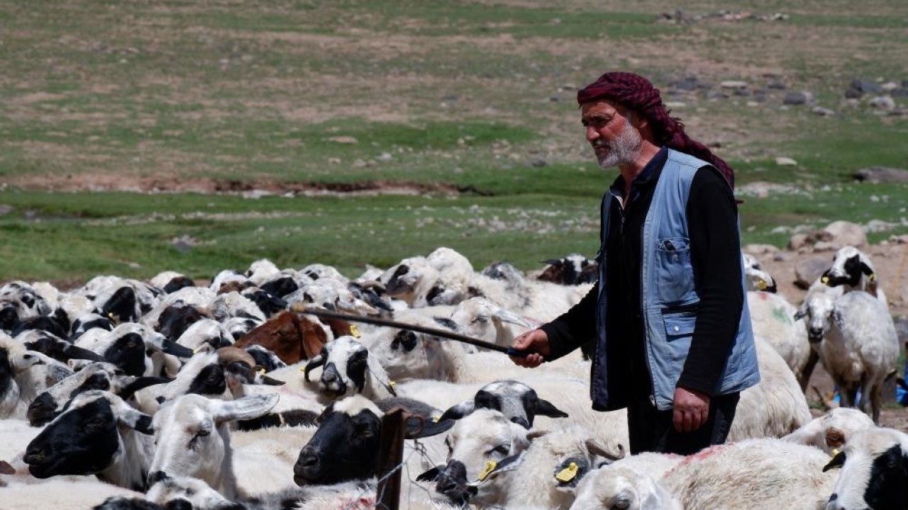 Yetiştiricilere 127,7 milyon TL kredi desteği