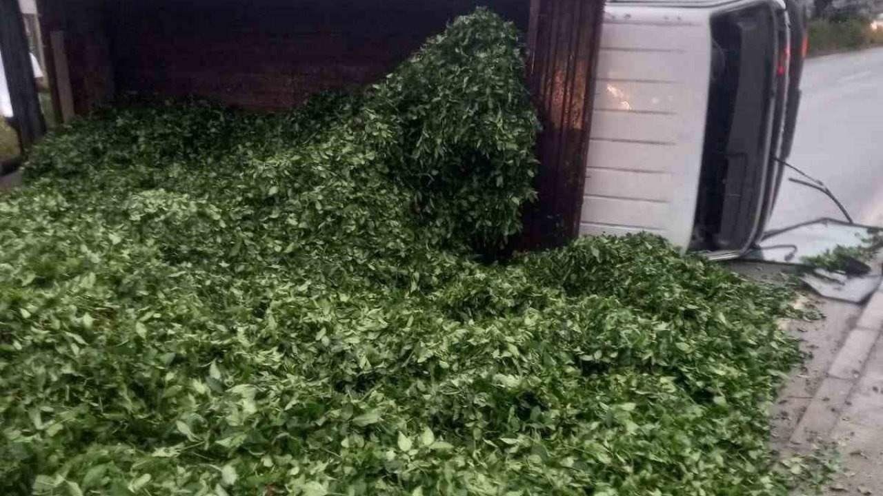 Kaza sonrası yola saçılan kamyon kasasındaki 10 ton çayı böyle temizlediler