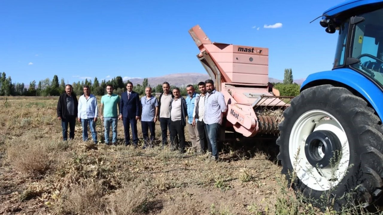 Erzincan’da kuru fasulye hasadı başladı