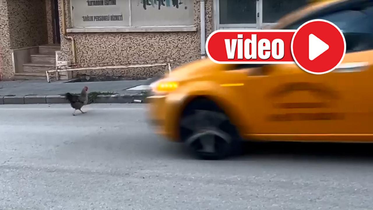 Otomatik Taslak