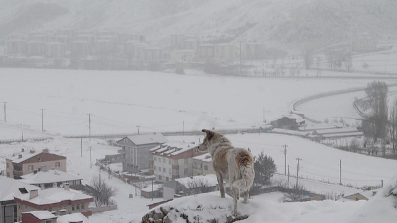 Dikkat! Meteoroloji uyardı