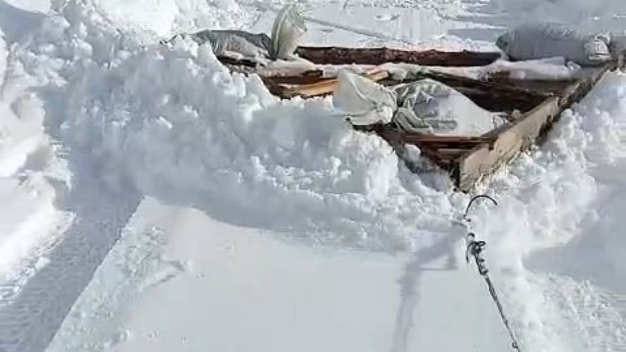 Karadenizli zekası