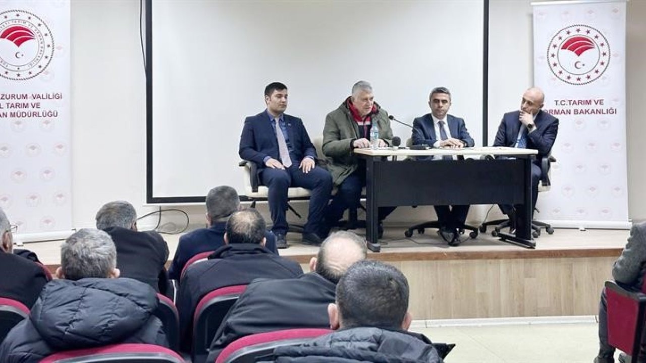 Sağlıklı anne sağlıklı buzağı