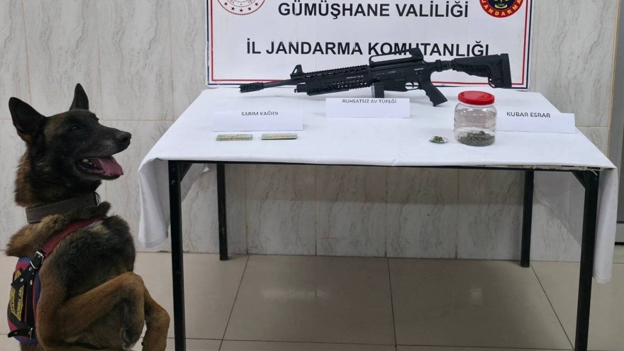 Gümüşhane’de jandarmadan uyuşturucu ve ruhsatsız silah operasyonu
