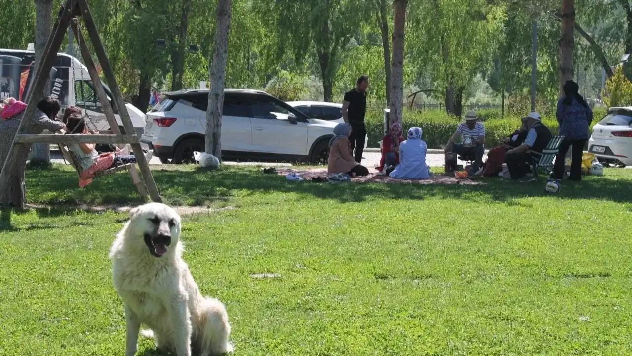 Pazar planları bulutlara takıldı