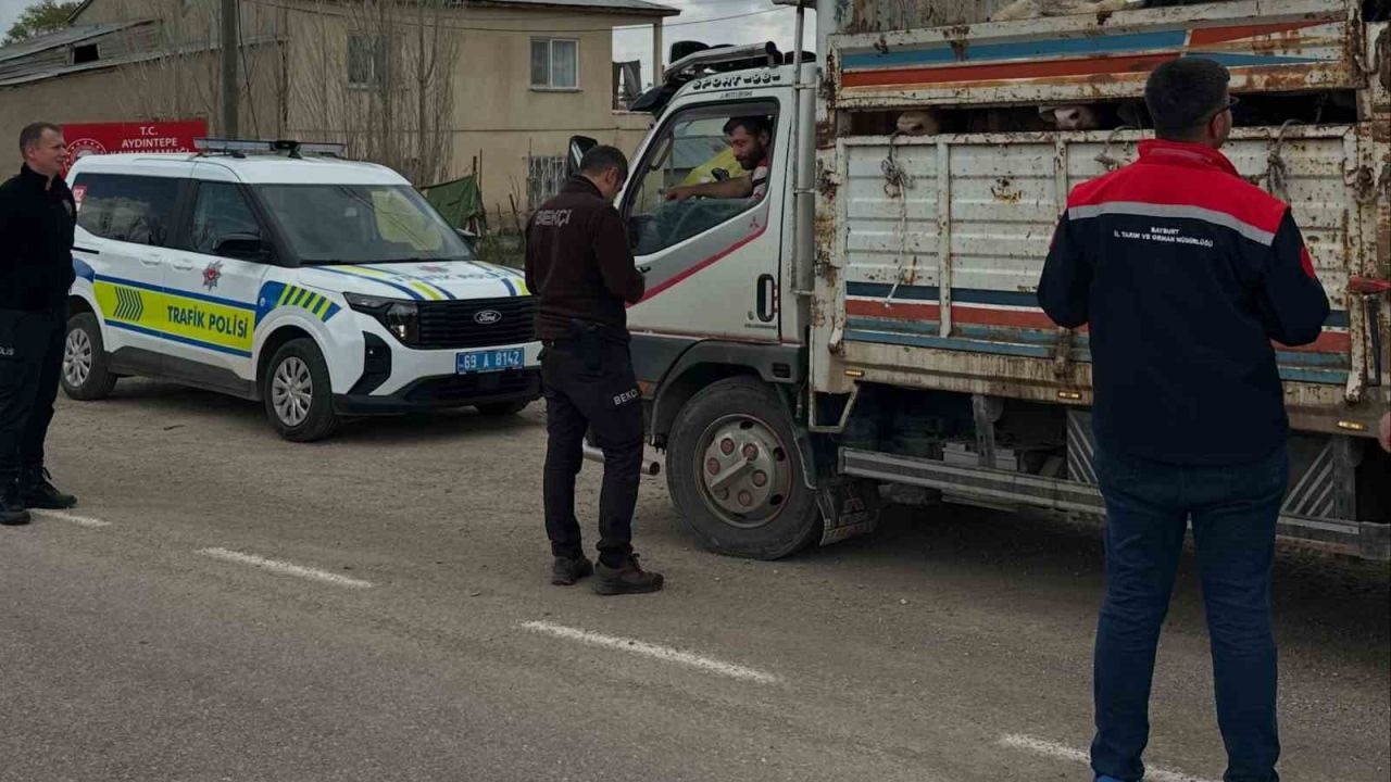 Bayram öncesi hayvan nakilleri denetleniyor