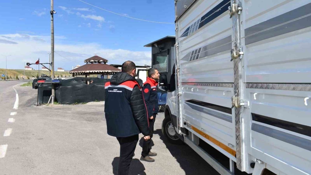Hayvan sevkiyatlarına sıkı denetim