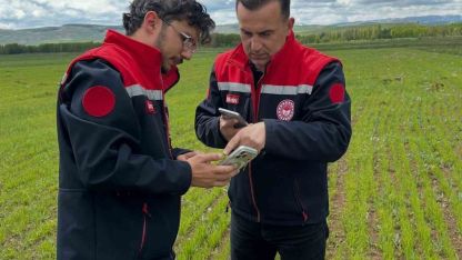 Aydıntepe’de ekili alanlar incelendi