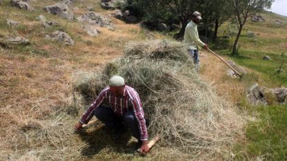 Erzincan’da vatandaşların kış hazırlığı