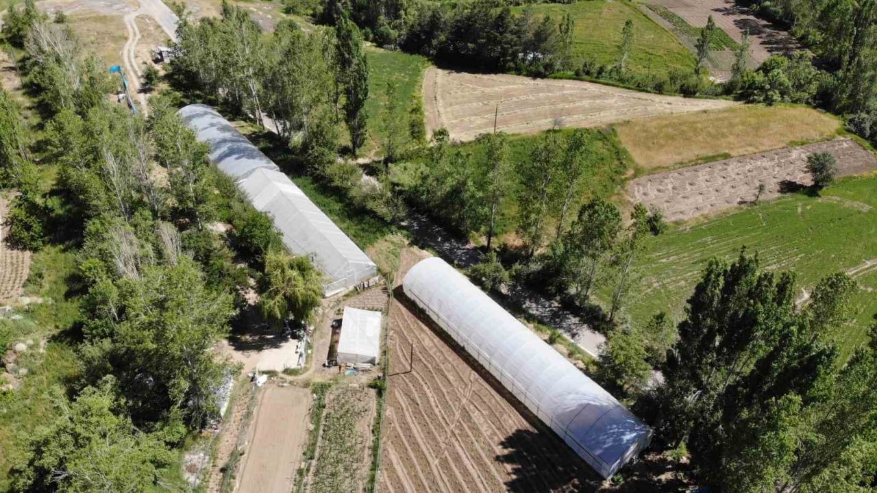Yüzde 70 hibeli sera projesi için başvurular bugün başlıyor